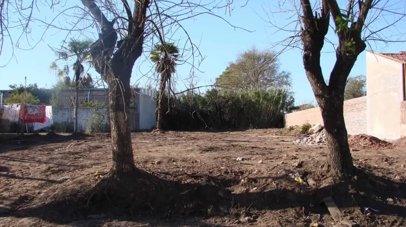 Terreno en venta en Buchardo 555, Lincoln, BA 6070