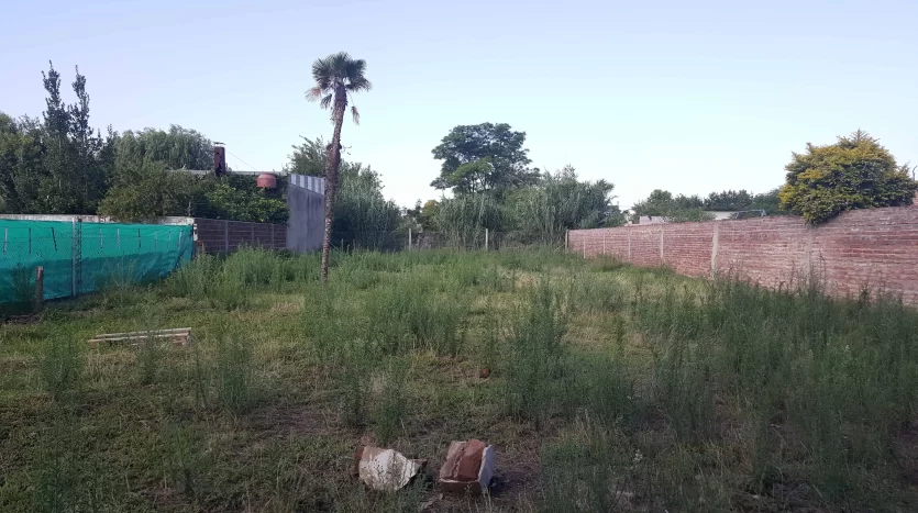 Terreno en venta en Buchardo 555, Lincoln, BA 6070