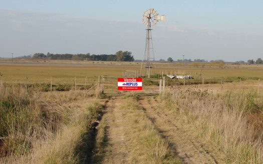 campo en venta en lincoln ID 19944