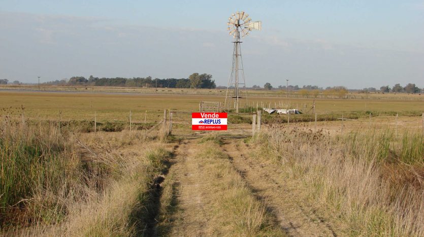 campo en venta en lincoln ID 19944