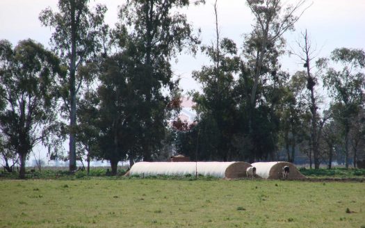 Campo en venta en Lincoln ID 20788