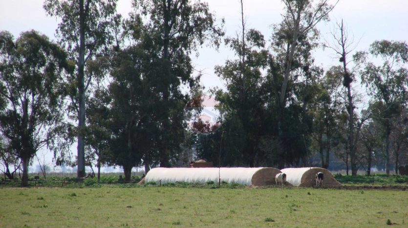 Campo en venta en Lincoln ID 20788