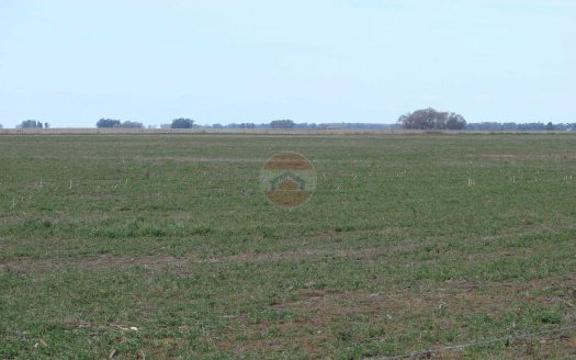 Campo en venta en Lincoln ID: 20503