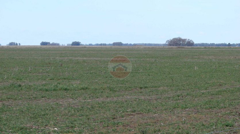 Campo en venta en Lincoln ID: 20503