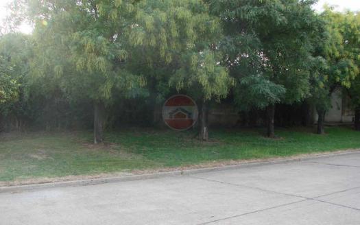 terreno en venta en general pinto ID 24820