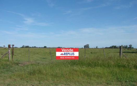 campo en venta en lincoln ID 24716