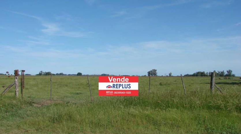 campo en venta en lincoln ID 24716