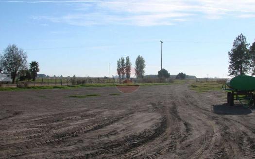 terreno en venta en ascencion ID 24980