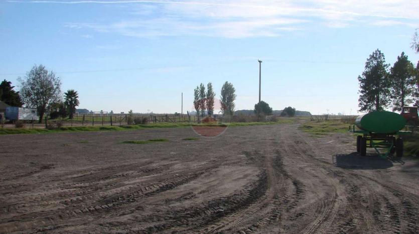 terreno en venta en ascencion ID 24980