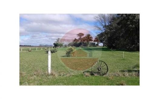 campo en venta en balcarce ID 25153