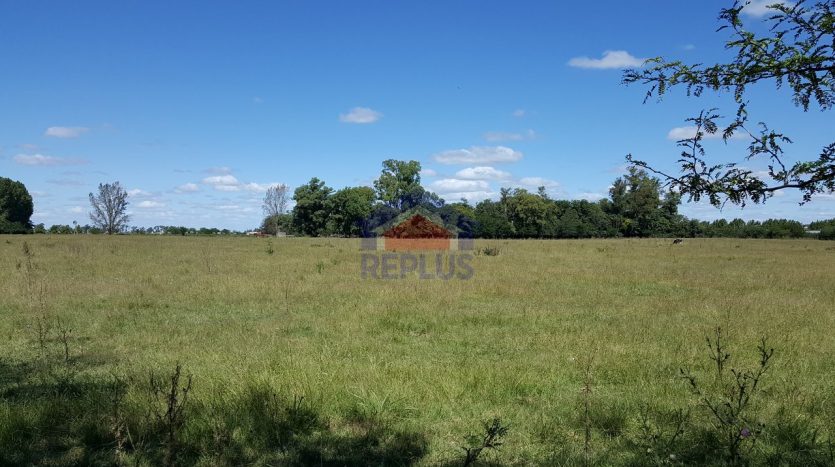 replus vende fracción en venta para loteo en lincoln ID 26078