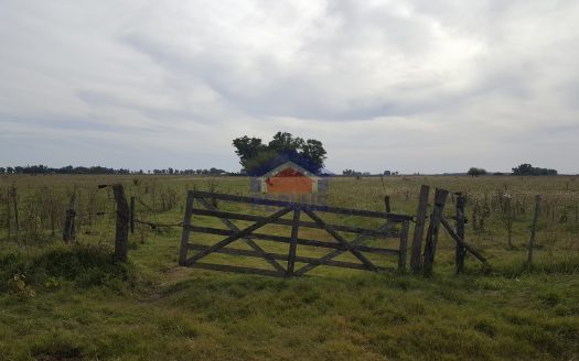 replus vende campo de 26 hectáreas en venta en lincoln ID 26511