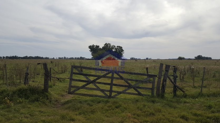 replus vende campo de 26 hectáreas en venta en lincoln ID 26511