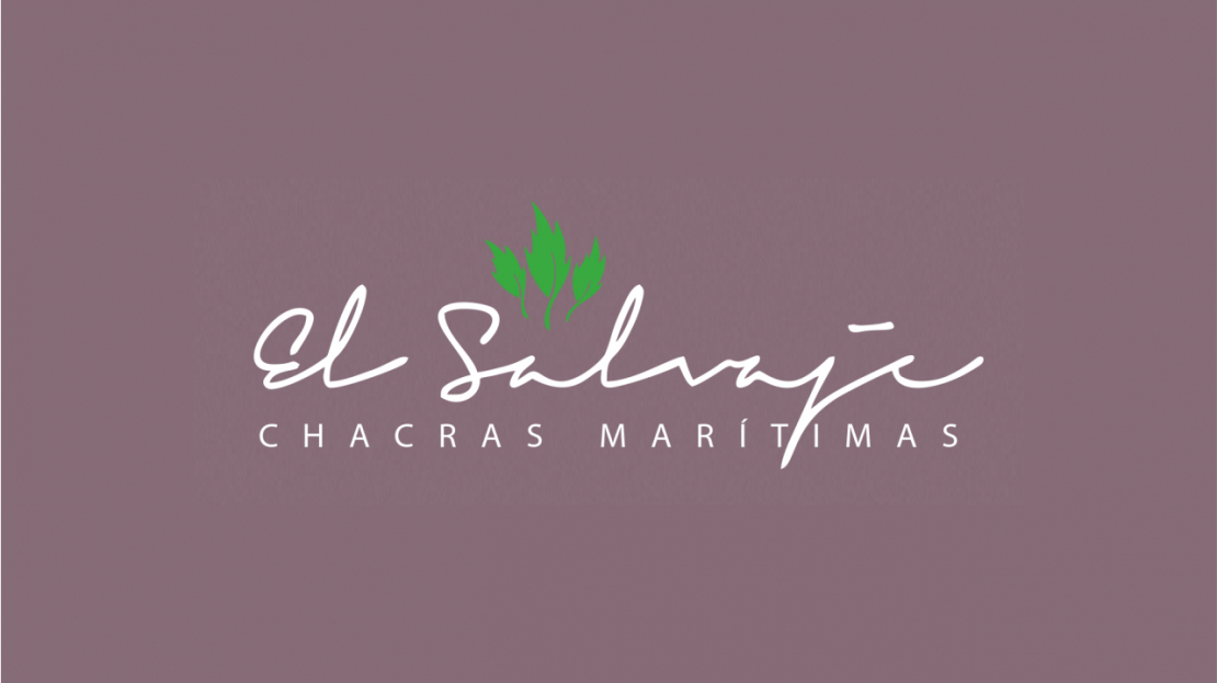 terrenos en venta en el salvaje villa gesell ID 26807