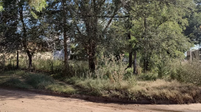 Terreno en venta en Lincoln, calle Provincia de San Juan y Chubut, La Rural, BA 6070