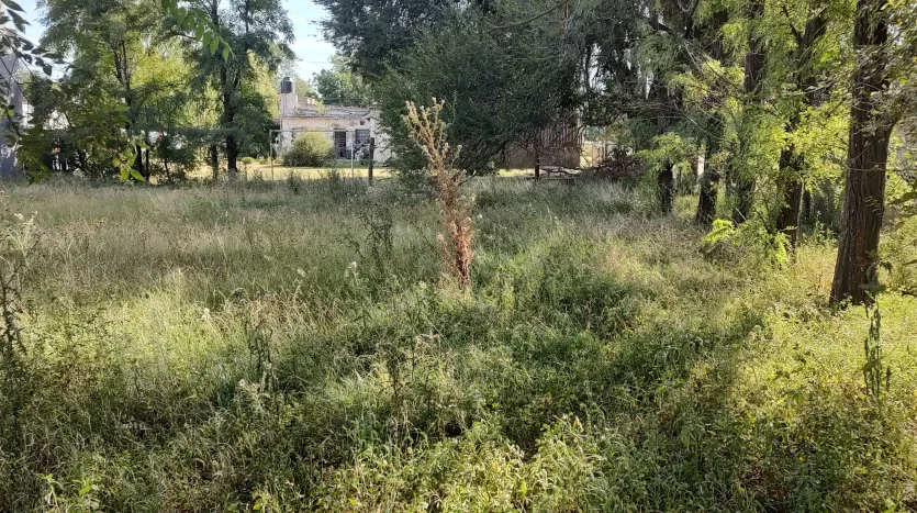 Terreno en venta en Lincoln, calle Provincia de San Juan y Chubut, La Rural, BA 6070