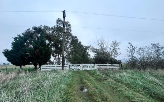 Campo en Alquiler 222 Ha sobre Ruta 188 – Con Mejoras y Excelente Acceso – Lincoln